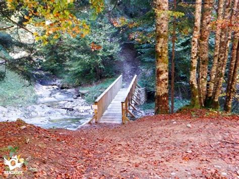 ruta errekaidorra|Ruta Sendero Errekaidorra y Cascada del Cubo (Navarra)